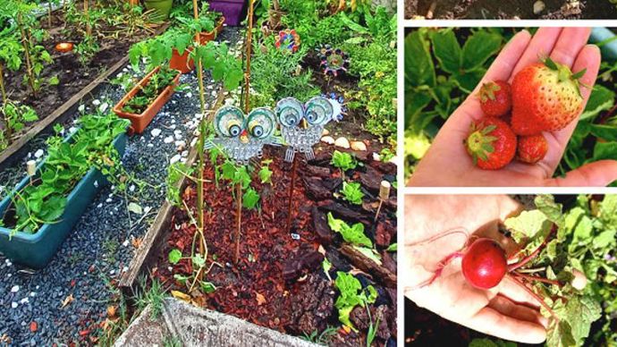 4e :école élémentaire Aliénor-d’Aquitaine à Cadaujac (33).